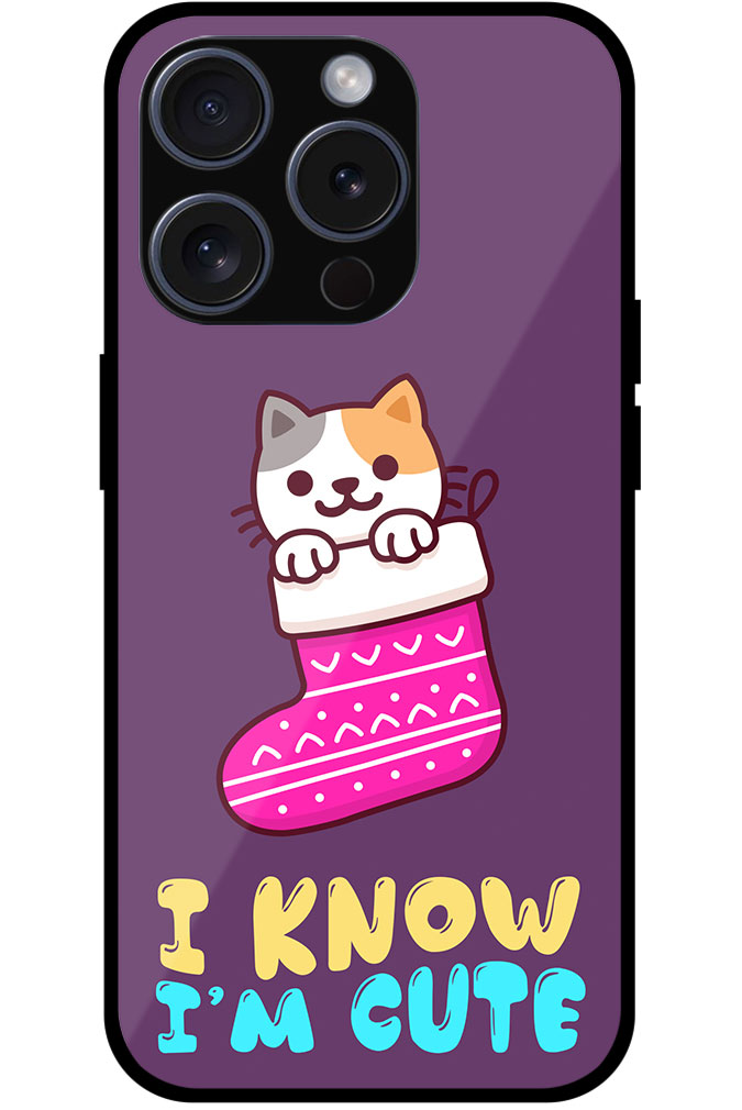 Cool Cat Christmas Stocking Artwork Metal TPU Printed Case