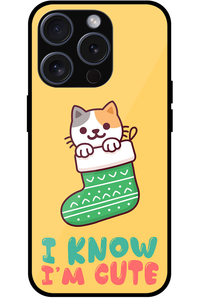 Cool Cat Christmas Stocking Artwork Metal TPU Printed Case